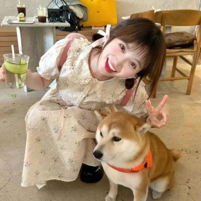 分手方情式